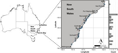 Diet Composition and Nutritional Niche Breadth Variability in Juvenile White Sharks (Carcharodon carcharias)